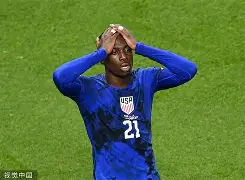 开云官方网站在线登陆-法兰克福足球俱乐部阵容